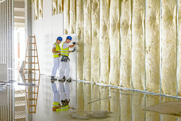 Best Insulation Inspection Services  in Zebulon, GA